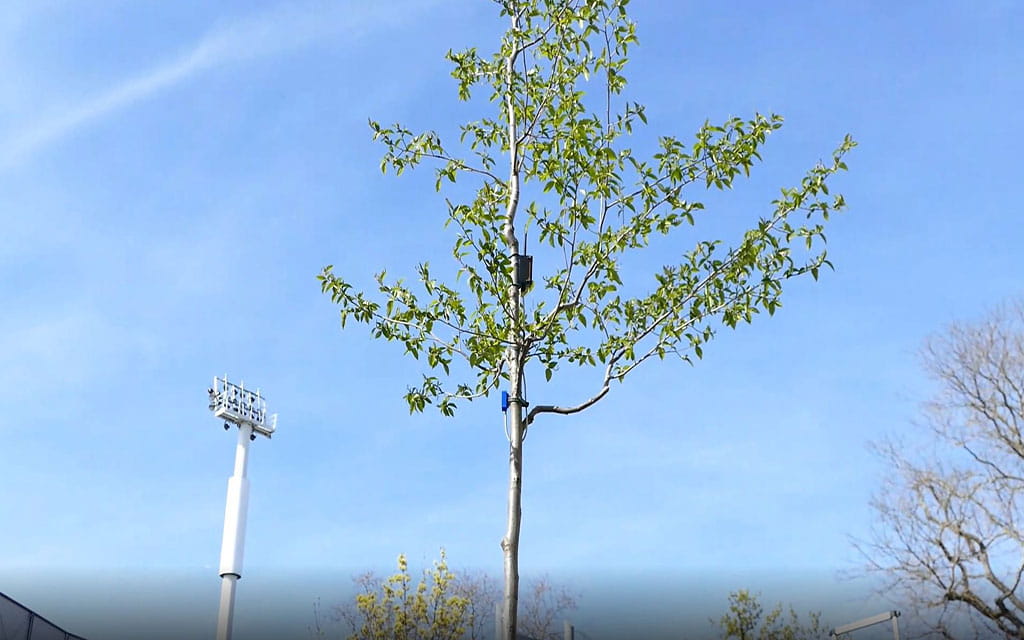 Baum mit Bewässerungsgeräten